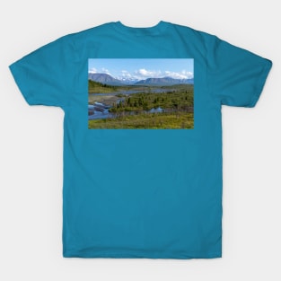 Savage River, Denali National Park, Alaska T-Shirt